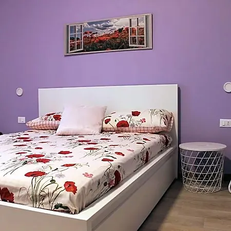 Bed & Breakfast Appiddaveru